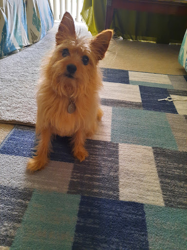 100 N Groesbeck Hwy, Mt Clemens, MI 48043, USA