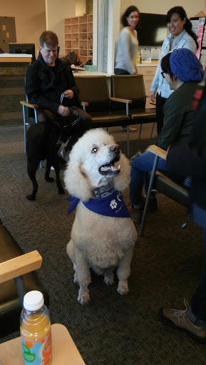 Non-Profit Organization «Bread for the City», reviews and photos