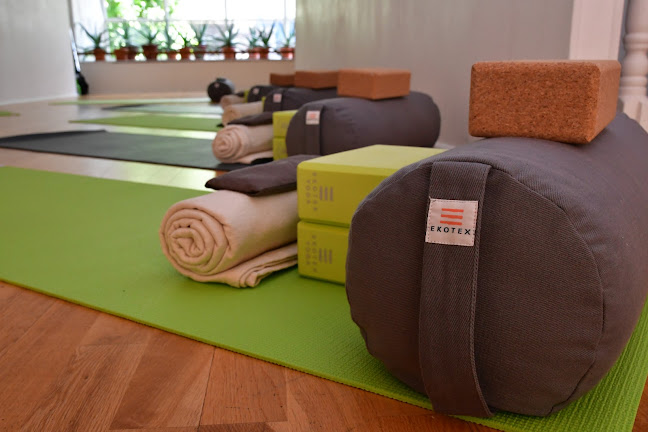 Ekotex Yoga Ltd - Edinburgh