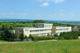 CMS Electronics Hungary kft