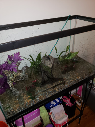 Pet Store «Petland Discounts - Parkchester», reviews and photos, 1949 Westchester Ave, Bronx, NY 10462, USA