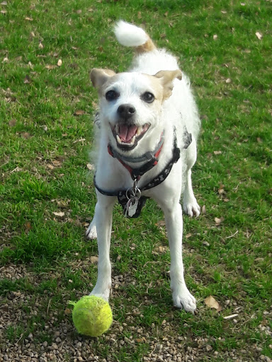 Park «Friendship Park», reviews and photos, 12325 W McDowell Rd, Avondale, AZ 85323, USA