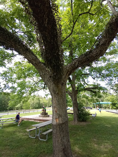 Park «Lake Houston Wilderness Park», reviews and photos, 25840 FM 1485, New Caney, TX 77357, USA