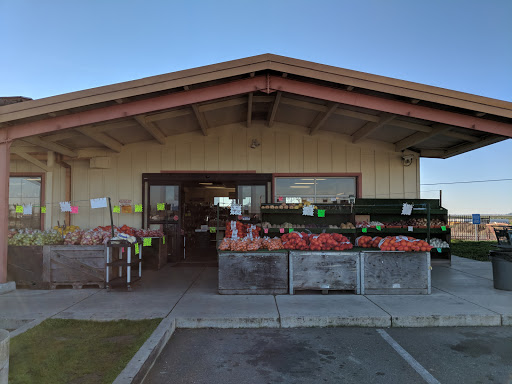 Produce Market «Yolo Fruit Stand», reviews and photos, 46710 Co Rd 32B, Davis, CA 95618, USA