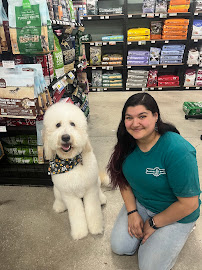 Brookside Barkery & Bath - Shawnee - Photo 7 - Car repair in Shawnee, KS, Olathe