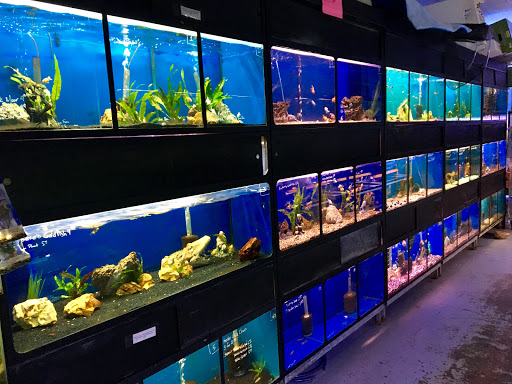 Pet Store «Sierra Fish and Pets», reviews and photos, 601 S Grady Way Suite M, Renton, WA 98057, USA