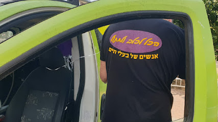 תמונה