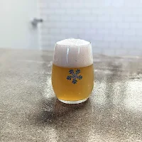 Oakflower Brewing Company in Long Hill, New Jersey - 4.90 star rating