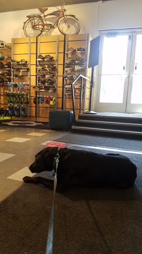 Bicycle Store «Owenhouse Cycling», reviews and photos, 25 S Black Ave, Bozeman, MT 59715, USA