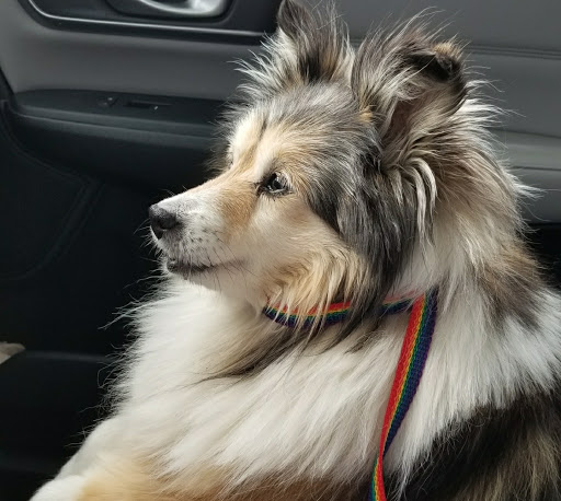 Peila, Jeff DVM image