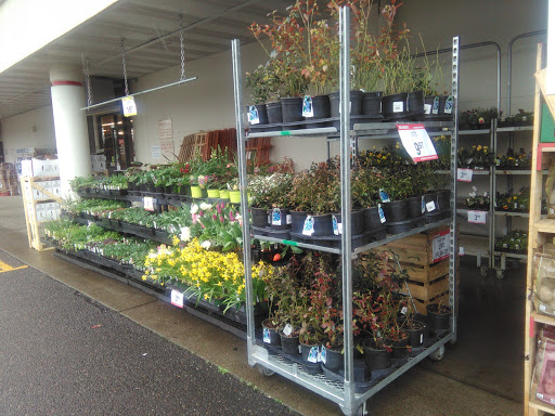 Department Store «Bi-Mart», reviews and photos, 3225 Pacific Ave, Forest Grove, OR 97116, USA