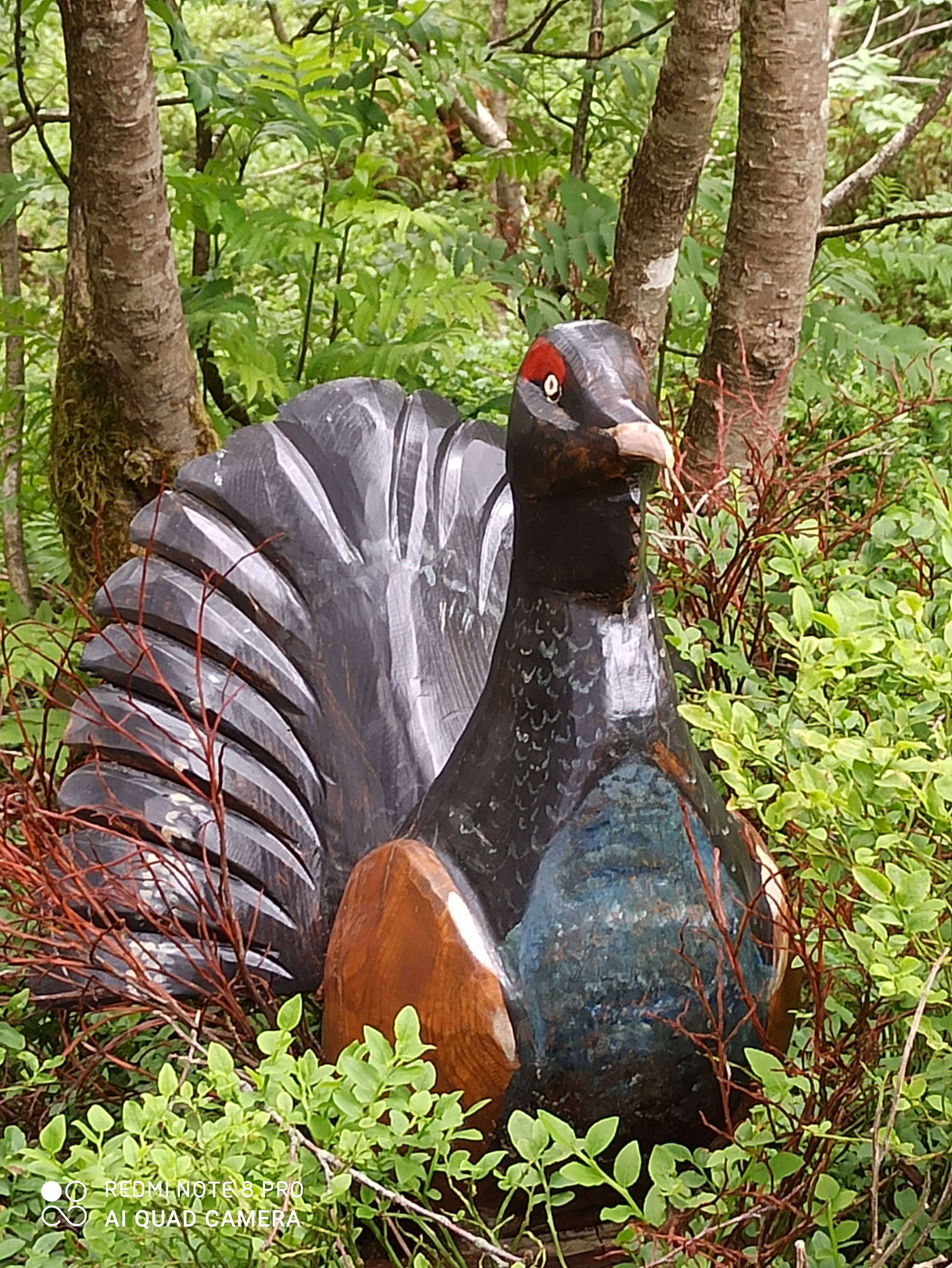 Photo n° 2 de l'avis de Stéphanie.r fait le 13/07/2020 à 21:01