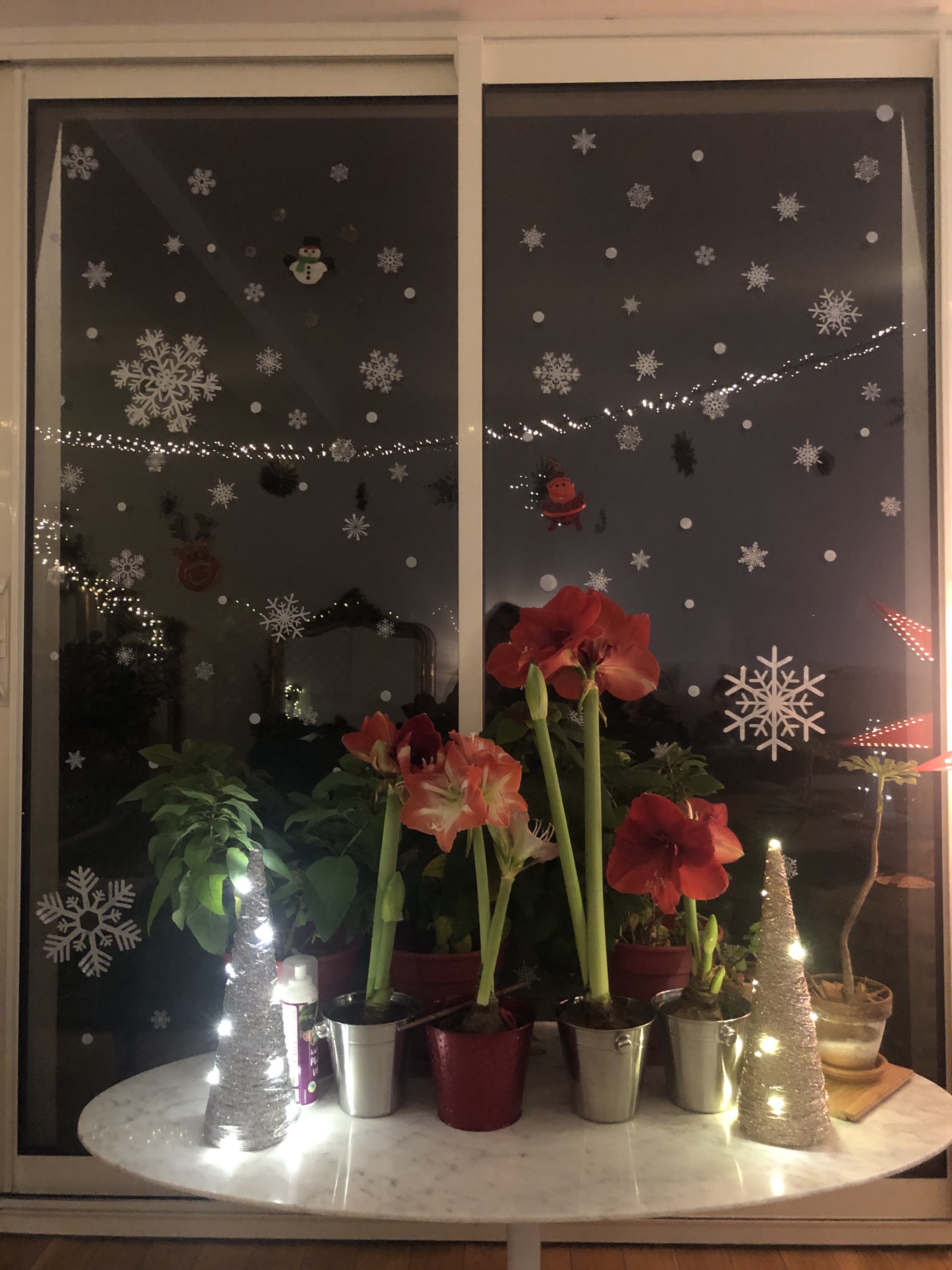 Photo n° 1 de l'avis de catherine.a fait le 31/12/2023 à 23:57