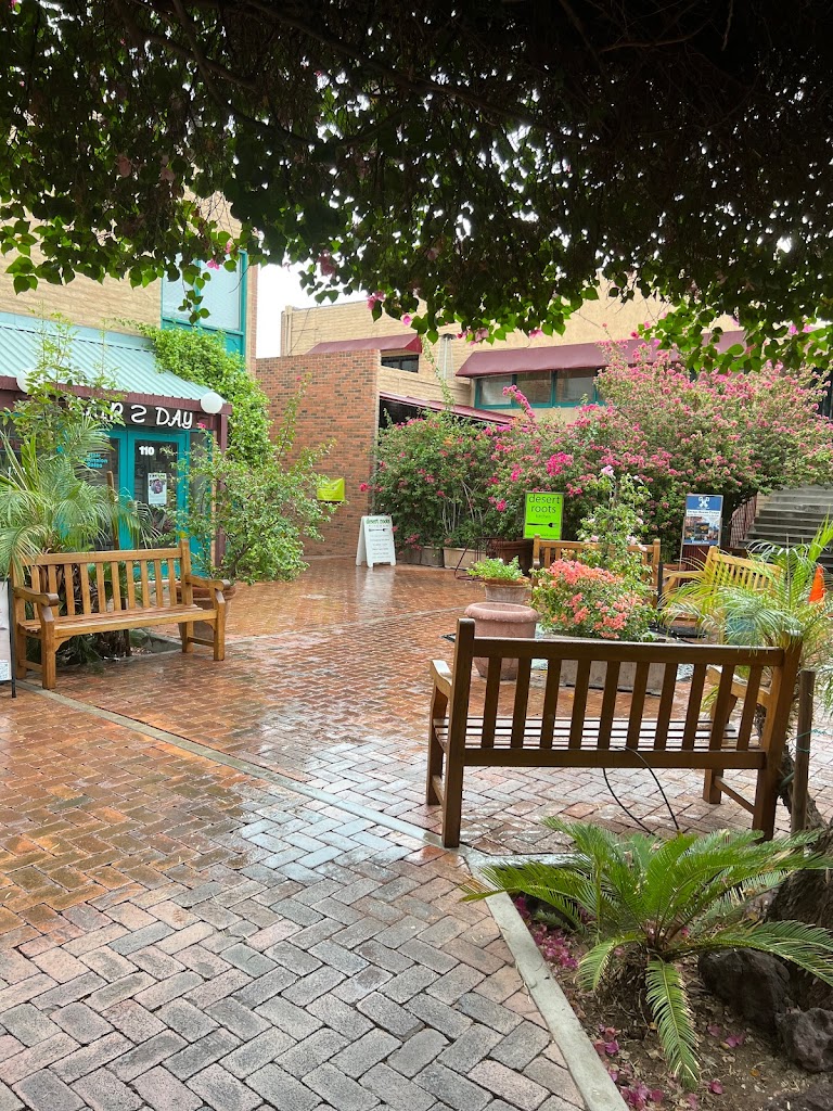 Desert Roots Kitchen 85281