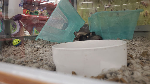 Pet Supply Store «Petco Animal Supplies», reviews and photos, 2072 Sycamore Rd, DeKalb, IL 60115, USA