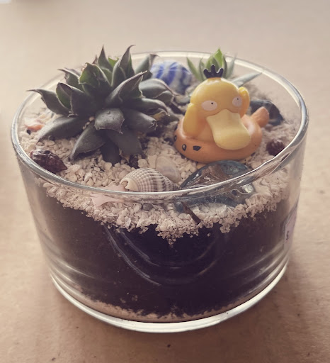 Video Game Store «Legacy Games», reviews and photos, 15086 Claret Ave W, Rosemount, MN 55068, USA