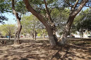 Las Ardillas Park image
