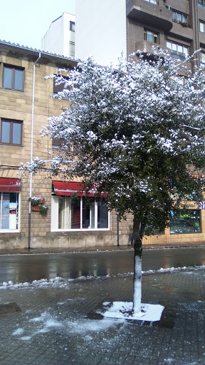 puertas automaticas Alonso Maderas en Reinosa