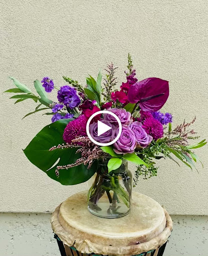 Gymnastics Center «Redwood Empire Gymnastics», reviews and photos, 434 Payran St, Petaluma, CA 94952, USA