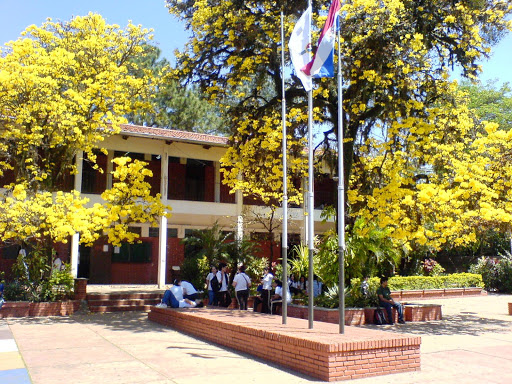 Escuelas de cine en Asunción