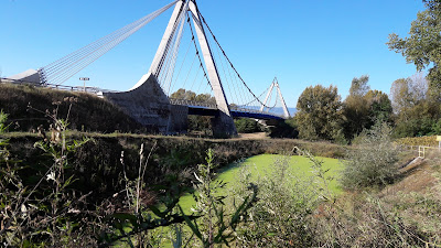 Polissage Ray à Andrézieux-Bouthéon