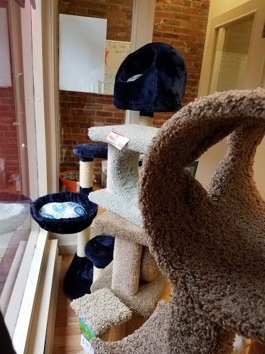 Pet Supply Store «Local Pet», reviews and photos, 415 Gettysburg St #1, Pittsburgh, PA 15206, USA