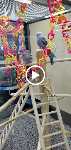 Pet Supply Store «Petco Animal Supplies», reviews and photos, 22 Peninsula Center, Rolling Hills Estates, CA 90274, USA