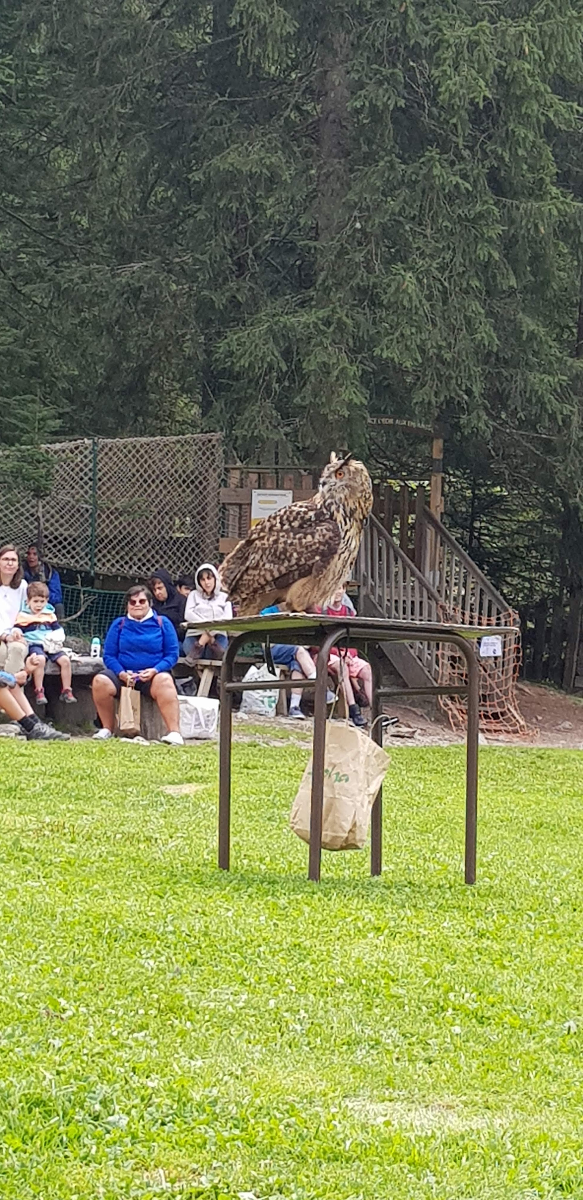 Photo n° 7 de l'avis de Denny.a fait le 23/08/2019 à 07:52