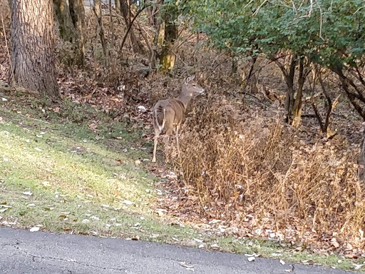 Park «Harrods Creek Park», reviews and photos, 6530 Montero Dr, Prospect, KY 40059, USA