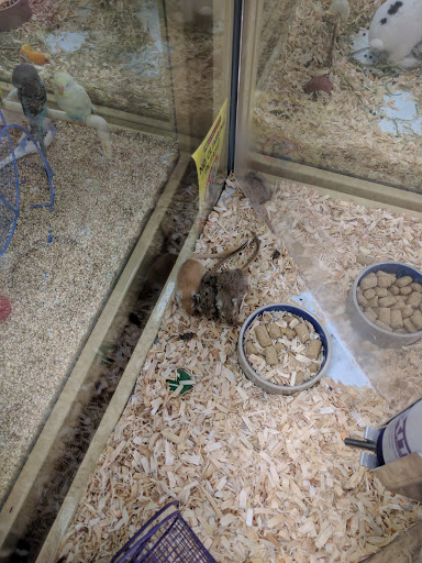 Pet Supply Store «Pet Supermarket», reviews and photos, 268 Grande Heights Dr, Cary, NC 27513, USA