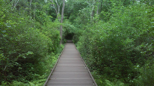Nature Preserve «Dolan Pond Conservation Area», reviews and photos, Webster Park, West Newton, MA 02465, USA