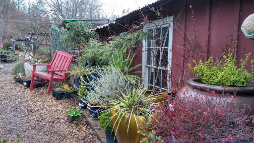 Coffee Shop «Mountain Sage», reviews and photos, 18653 Main St, Groveland, CA 95321, USA