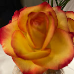 Photo n°6 de l'avis de C.M..c fait le 18/01/2024 à 14:54 sur le  Rebstock-Stube à Denzlingen