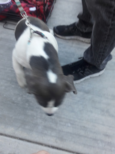 Movie Theater «RoadHouse Cinemas», reviews and photos, 4811 E Grant Rd #150, Tucson, AZ 85712, USA