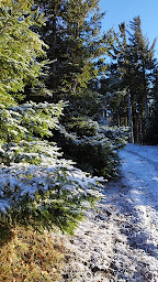 Photo n°13 de Station de ski du Schnepfenried à Sondernach ()
