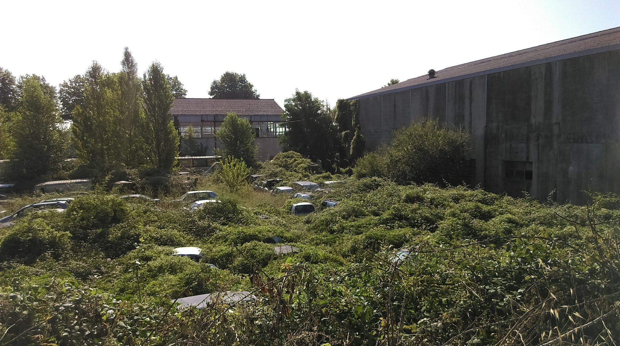 Photo n° 2 de l'avis de Gil.t fait le 30/09/2020 à 04:49