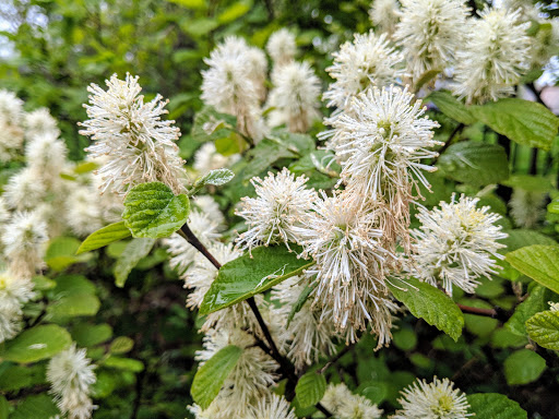 Park «Chicago Park District», reviews and photos, 5505 W Berteau Ave, Chicago, IL 60641, USA