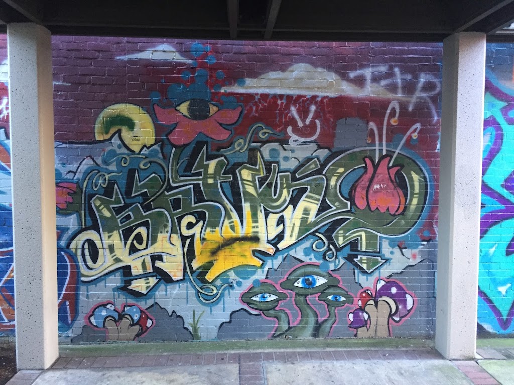 Forouz the Salon 97401