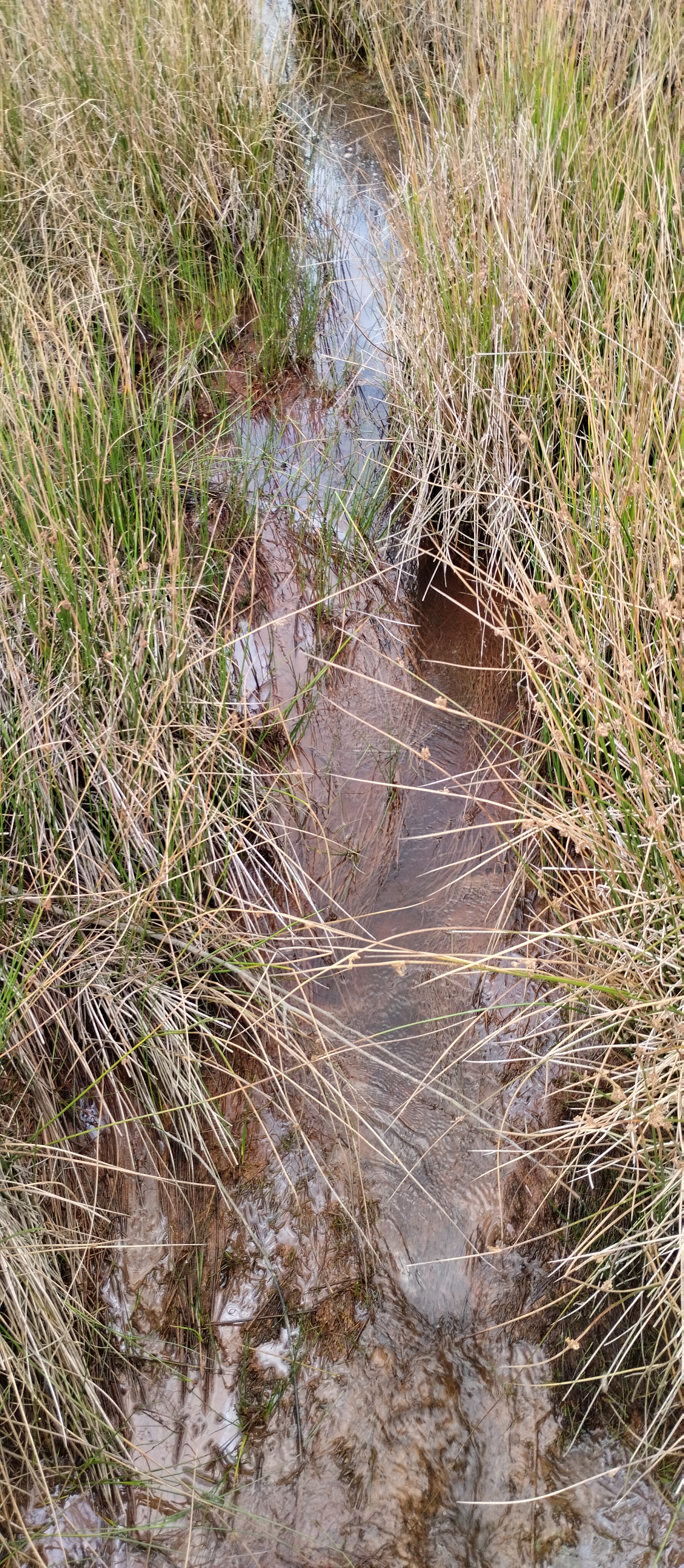 Photo n° 4 de l'avis de Gwlad.o fait le 16/08/2023 à 10:31