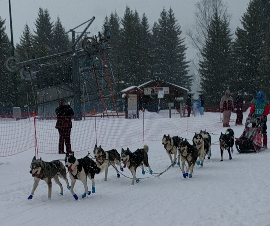Photo n° 16 de l'avis de Christiane.o fait le 17/01/2018 à 16:39