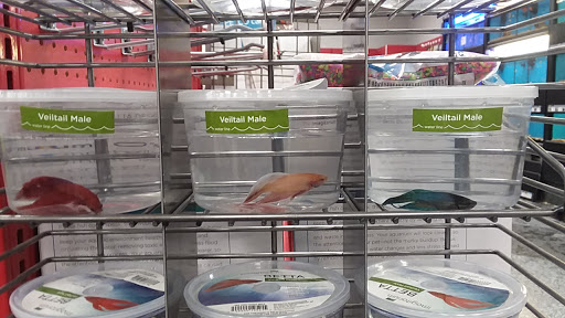 Pet Supply Store «Petco Animal Supplies», reviews and photos, 1815 Newport Blvd b, Costa Mesa, CA 92627, USA