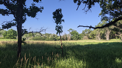 Nature Preserve «Shoe Factory Road Prairie Nature Preserve», reviews and photos, Shoe Factory Rd, Hoffman Estates, IL 60192, USA