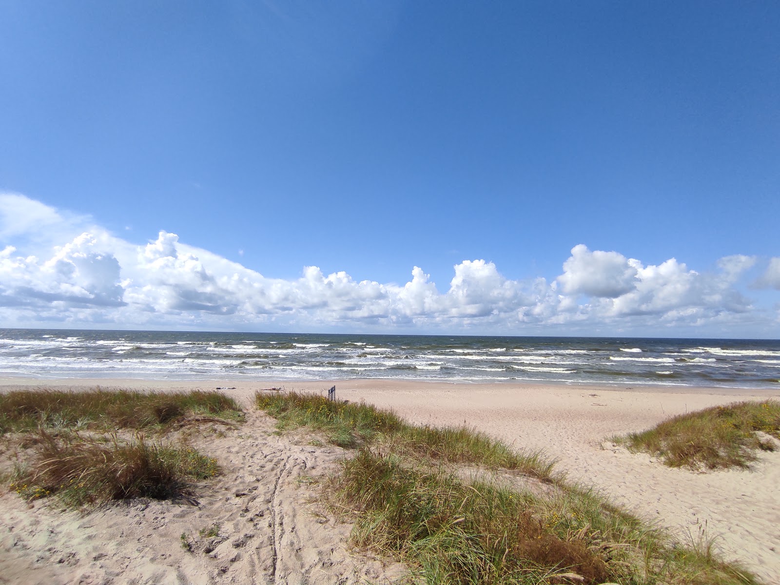 Foto von Giruliai naturist beach - beliebter Ort unter Entspannungskennern