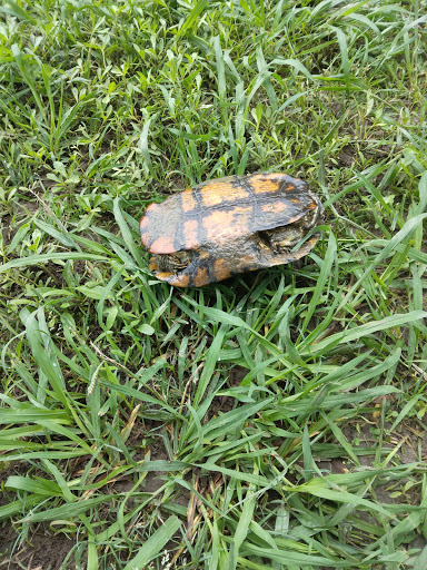 Park «Katherine Rose Memorial Park», reviews and photos, 303 N Walnut Creek Dr, Mansfield, TX 76063, USA