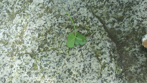 Park «Marvista Park», reviews and photos, 19990 4th Ave SW, Normandy Park, WA 98166, USA