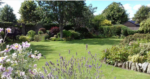 Day2Day Landscaping and Garden Maintenance
