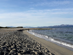 Platja de Son Real 2'in fotoğrafı doğal alan içinde bulunmaktadır