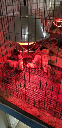 Book Store «Coastside Books», reviews and photos, 432 Main St, Half Moon Bay, CA 94019, USA