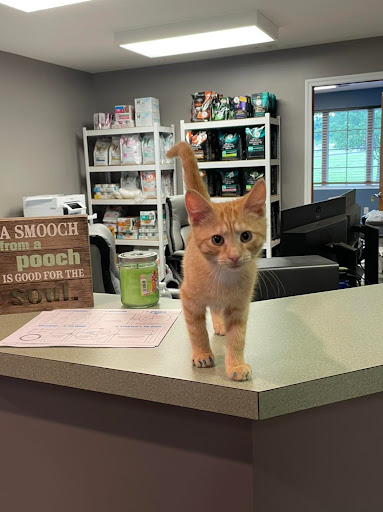 Copper Ridge Veterinary Clinic