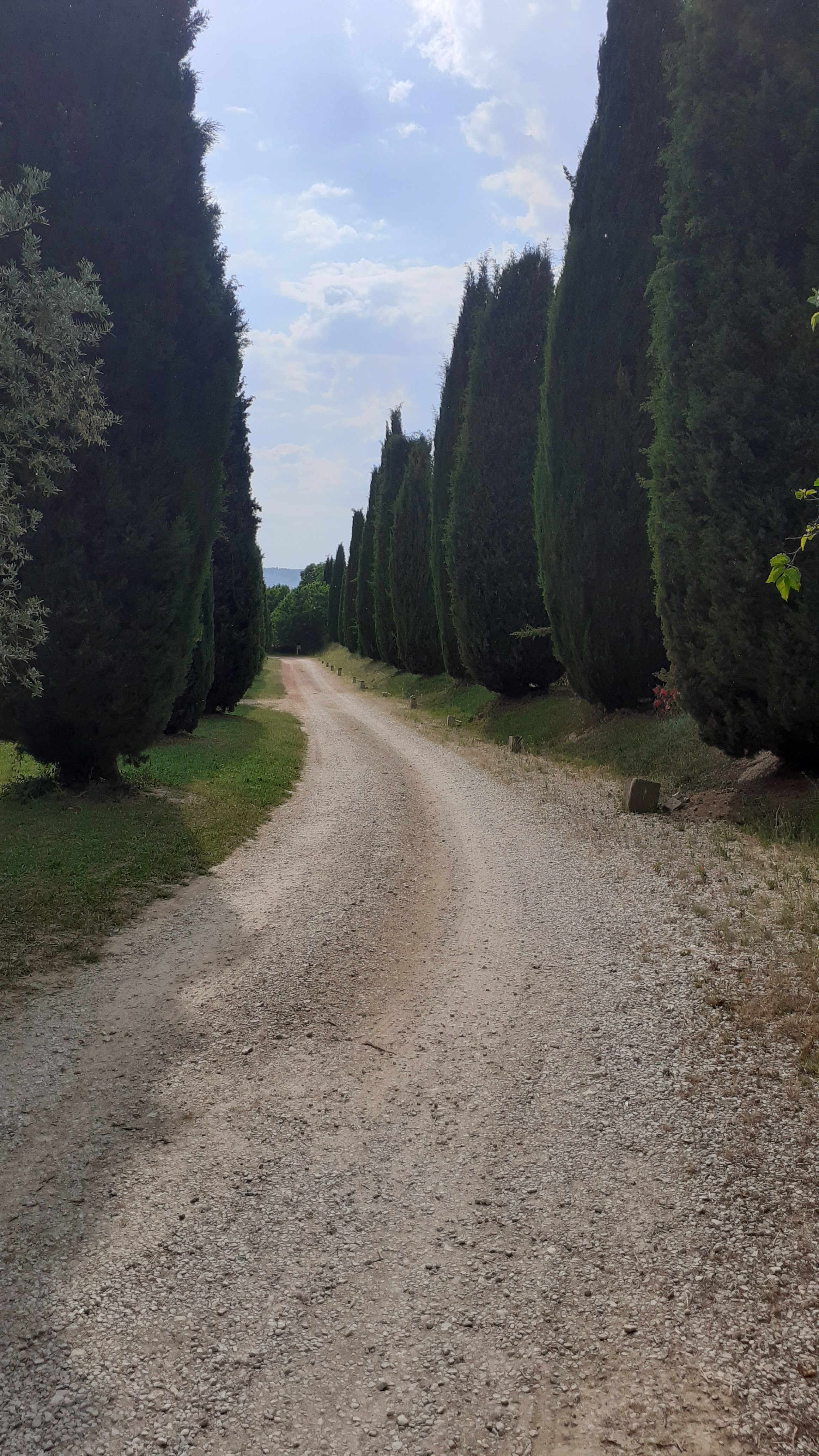 Photo n° 5 de l'avis de Louve.r fait le 10/06/2021 à 17:41